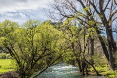 Neuseeland - Nordinsel - Te Urewera National Park