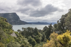 Neuseeland - Nordinsel - Te Urewera National Park - Lake Waikaremoana vom Lou's Lookout