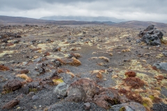 Neuseeland - Tongario Nationalpark