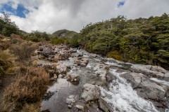 Neuseeland - Tongario Nationalpark