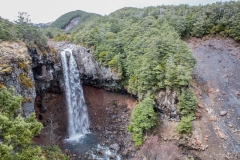Neuseeland - Tongario Nationalpark