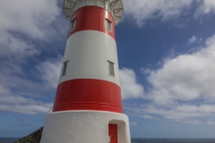Neuseeland - Cape Palliser