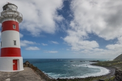 Neuseeland - Cape Palliser