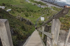 Neuseeland - Cape Palliser