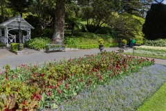 Neuseeland - Nordinsel - Wellington - Botanischer Garten