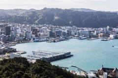 Neuseeland - Nordinsel - Wellington - vom Mt Vicotria aus