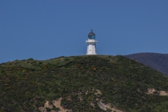 Neuseeland - mit der Fähre von Wellington nach Picton