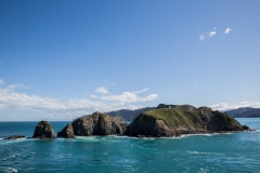 Neuseeland - mit der Fähre von Wellington nach Picton