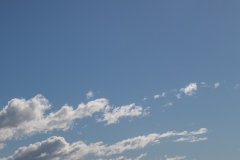 Neuseeland - mit der Fähre von Wellington nach Picton