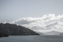 Neuseeland - mit der Fähre von Wellington nach Picton