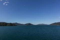 Neuseeland - mit der Fähre von Wellington nach Picton