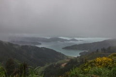 Neuseeland - Queen Charlotte Sound