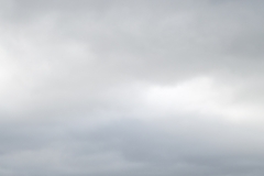 Neuseeland - Queen Charlotte Sound