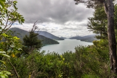 Neuseeland - Queen Charlotte Sound