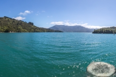 Neuseeland - Queen Charlotte Sound