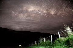 Neuseeland - Queen Charlotte Sound