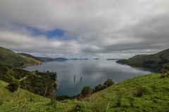 Neuseeland - Queen Charlotte Sound - Titirangi Bay