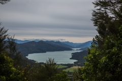 Neuseeland - Queen Charlotte Track