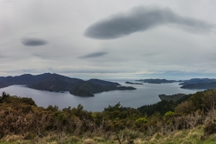 Neuseeland - Queen Charlotte Track