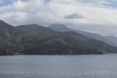 Neuseeland - French Pass