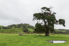 Neusseland - Farewell Spit