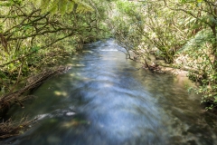 Neuseeland - Golden Bay - te waikoropupu springs