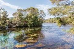 Neuseeland - Golden Bay - te waikoropupu springs