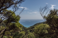 Neuseeland - Able Tasman Coastal Track
