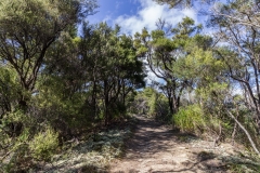 Neuseeland - Able Tasman Coastal Track