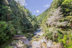 Neuseeland - Able Tasman Coastal Track