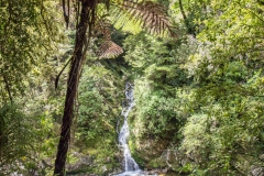 Neuseeland - Able Tasman Coastal Track