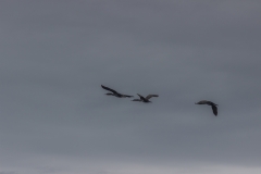 Neuseeland - Able Tasman Coast Track