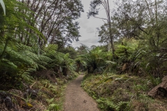 Neuseeland - Able Tasman Coast Track