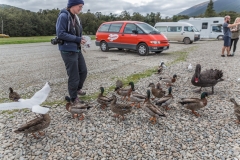 Neuseeland - Lake Rotoiti