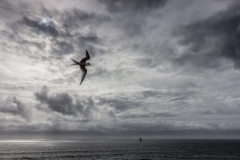 Neuseeland - Pancake Rocks