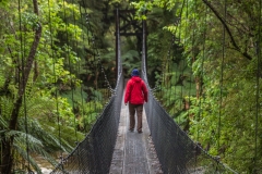 Neuseeland - Monro Beach Walk