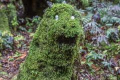 Neuseeland - Monro Beach Walk