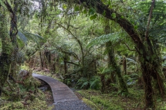 Neuseeland - Monro Beach Walk