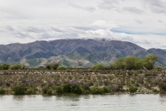 Neuseeland - Monro Beach Walk