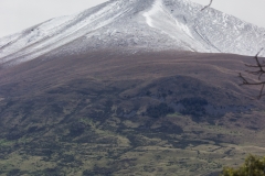 Neuseeland - Monro Beach Walk