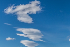 Neuseeland - Monro Beach Walk