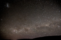 Neuseeland - Monro Beach Walk