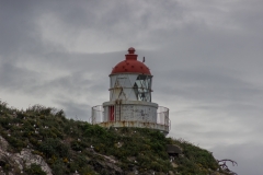 Neuseeland - Otago Peninsula