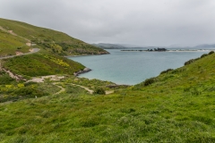Neuseeland - Otago Peninsula
