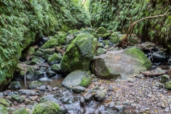 Neuseeland - Pukerangi Region