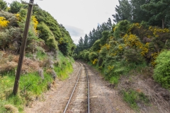 Neuseeland - Dunedin Railways - Taieri Gorge