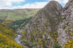 Neuseeland - Dunedin Railways - Taieri Gorge