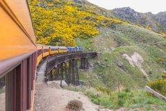 Neuseeland - Dunedin Railways - Taieri Gorge