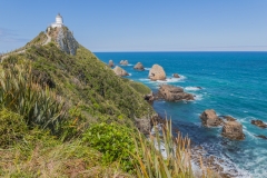 Neuseeland - Nugget Point Lighthouse