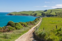 Neuseeland - Jacks Blowhole